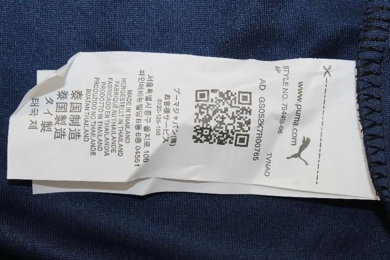 AAA Quality Atletico Independiente 2025 Third Soccer Jersey