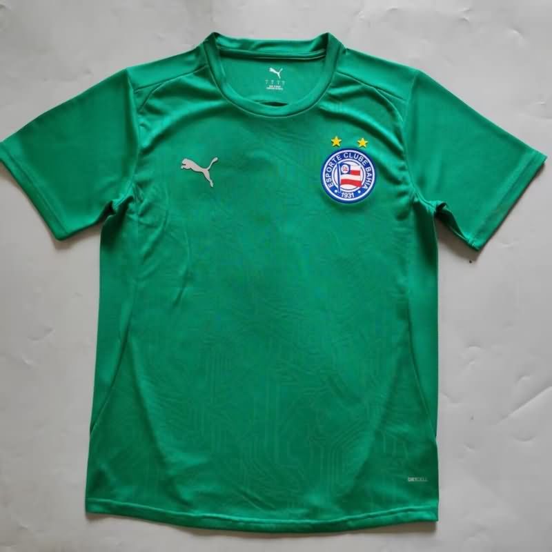 AAA Quality Bahia 2025 Goalkeeper Green Soccer Jersey