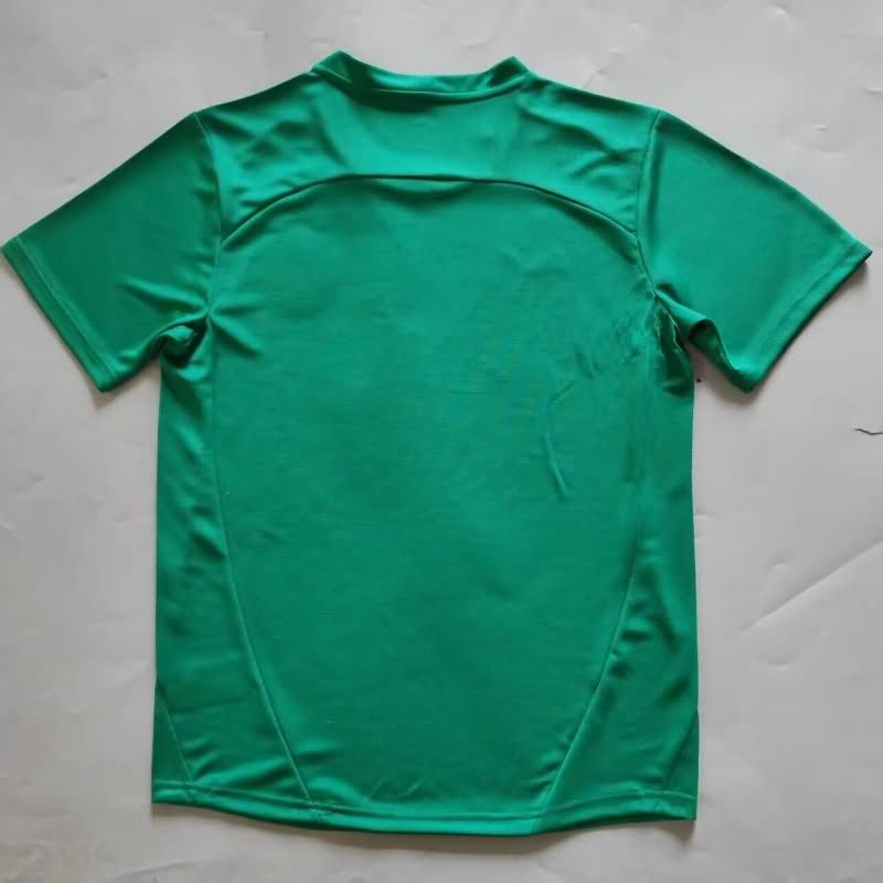 AAA Quality Bahia 2025 Goalkeeper Green Soccer Jersey