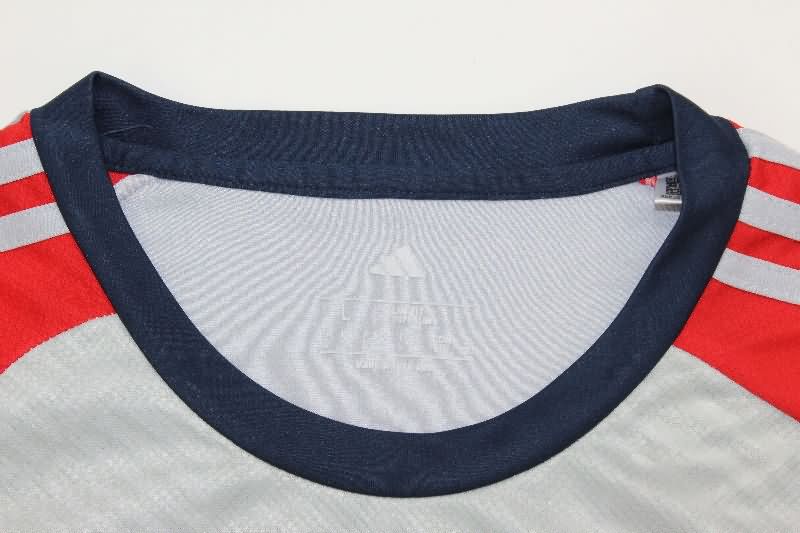 AAA Quality Bayern Munich 25/26 Grey Soccer Jersey