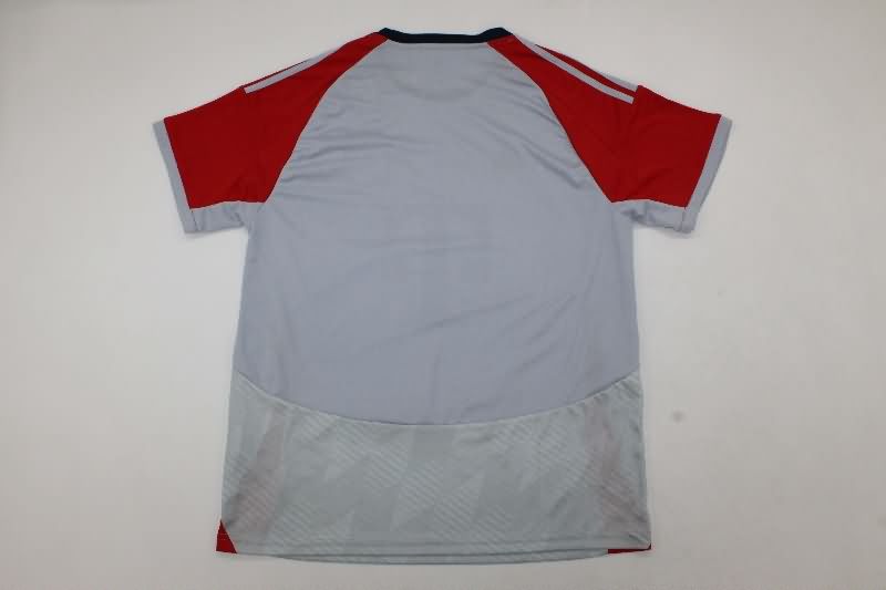 AAA Quality Bayern Munich 25/26 Grey Soccer Jersey