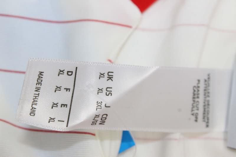 AAA Quality Benfica 25/26 Special Soccer Jersey