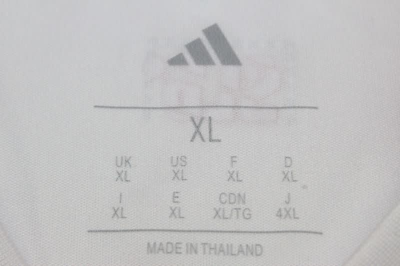 AAA Quality Benfica 25/26 Third Soccer Jersey