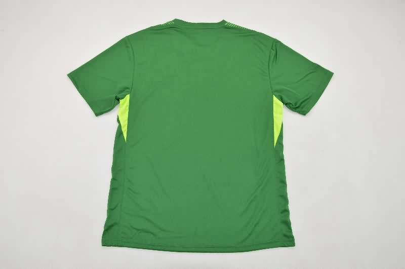 AAA Quality Birmingham City 25/26 Goalkeeper Green Soccer Jersey