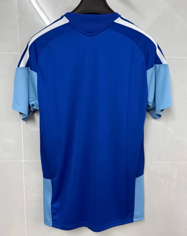 AAA Quality Cruzeiro 2025 Training Soccer Jersey