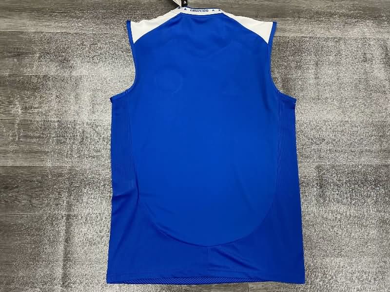AAA Quality Cruzeiro 2025 Training Vest Soccer Jersey