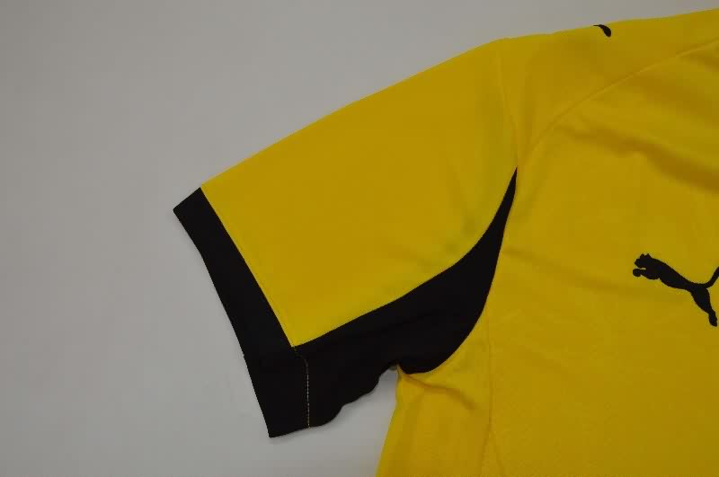 AAA Quality Dortmund 25/26 Cup Home Soccer Jersey