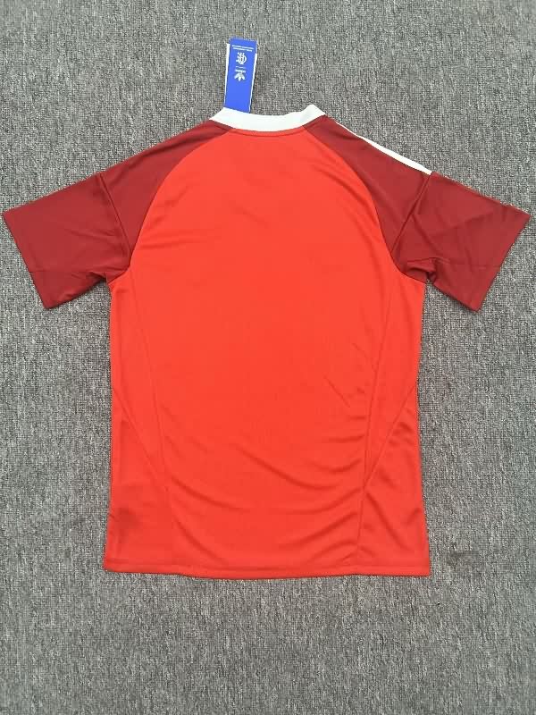 AAA Quality Flamengo 2025 Goalkeeper Red Soccer Jersey