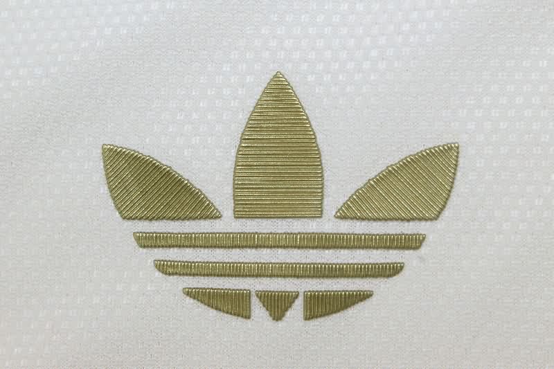 AAA Quality Flamengo 2025 Third Soccer Jersey (Player)