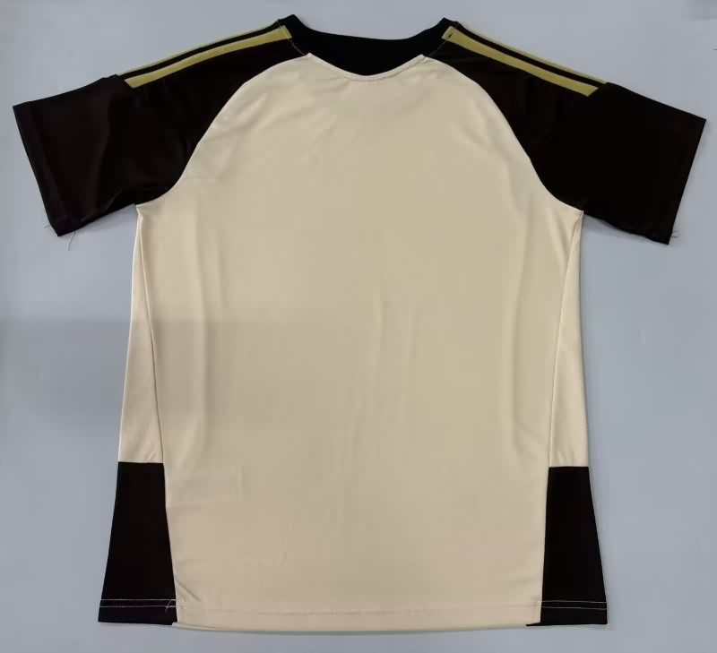 AAA Quality Flamengo 2025 Training Soccer Jersey 04