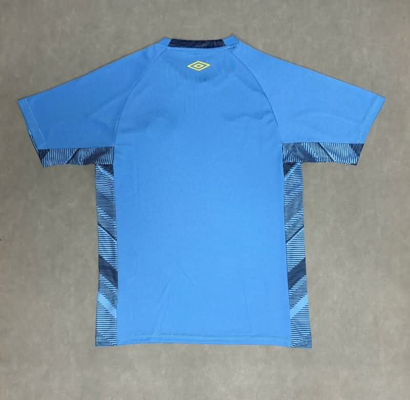 AAA Quality Gremio 2025 Goalkeeper Blue Soccer Jersey