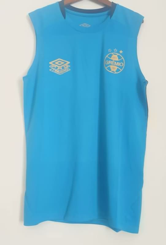 AAA Quality Gremio 2025 Training Vest Soccer Jersey AAA Quality Gremio 2025 Training Vest Soccer Jersey
