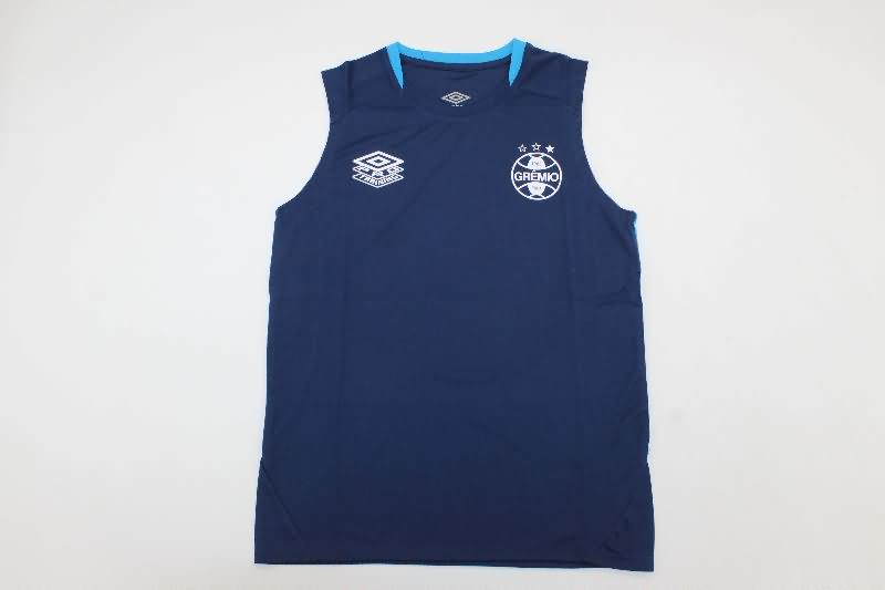 AAA Quality Gremio 2025 Training Vest Soccer Jersey 02 AAA Quality Gremio 2025 Training Vest Soccer Jersey 02