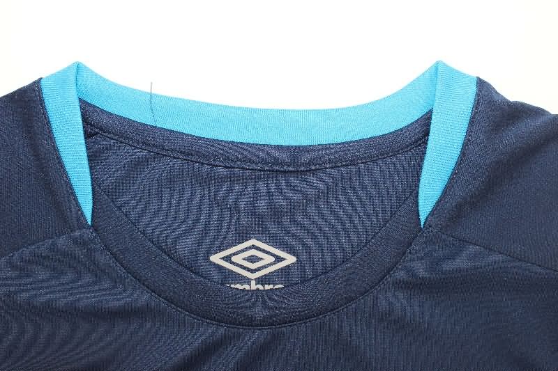 AAA Quality Gremio 2025 Training Vest Soccer Jersey 02