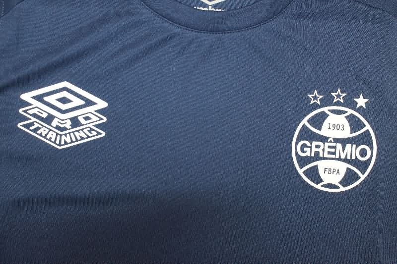 AAA Quality Gremio 2025 Training Vest Soccer Jersey 02