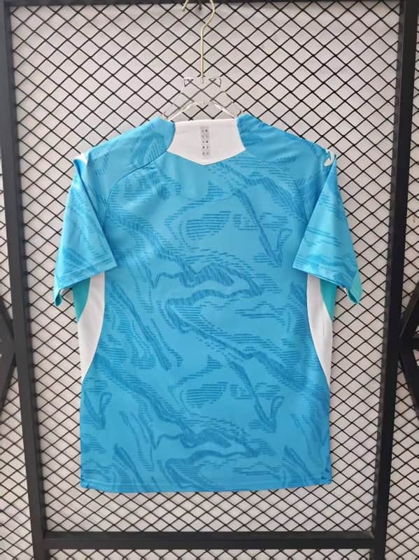 AAA Quality Hoffenheim 25/26 Away Soccer Jersey