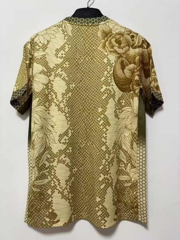 AAA Quality Inter Milan 25/26 Special Soccer Jersey