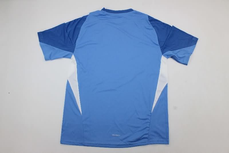 AAA Quality Juventus 25/26 Goalkeeper Blue Soccer Jersey