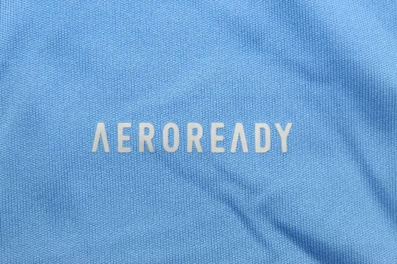 AAA Quality Juventus 25/26 Goalkeeper Blue Soccer Jersey