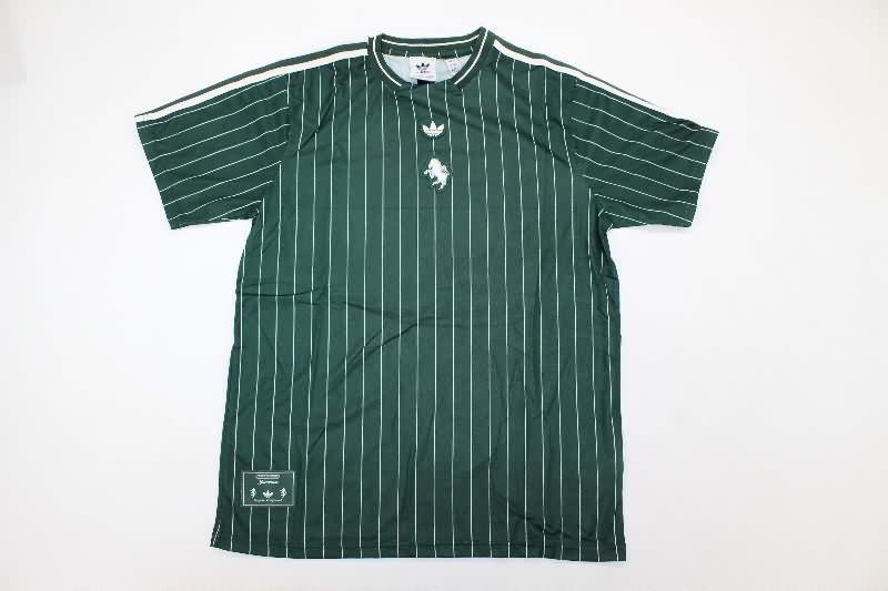 AAA Quality Juventus 25/26 Training Soccer Jersey 05