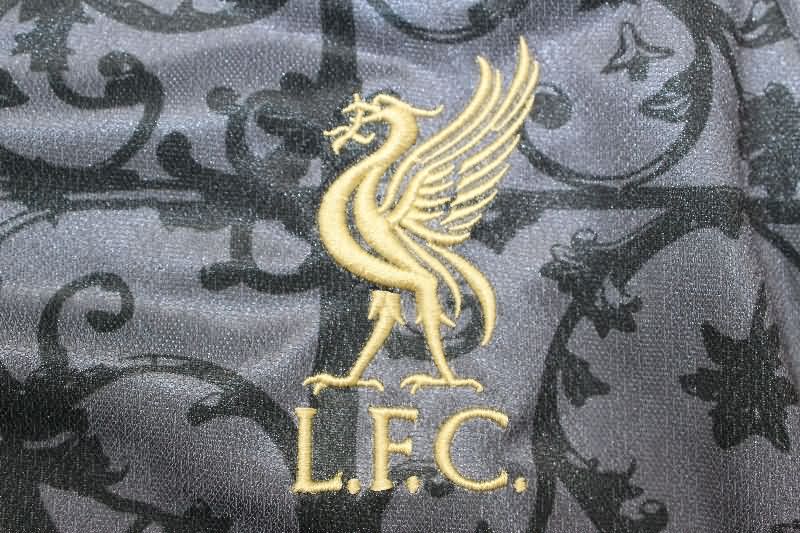 AAA Quality Liverpool 25/26 Training Soccer Jersey 04