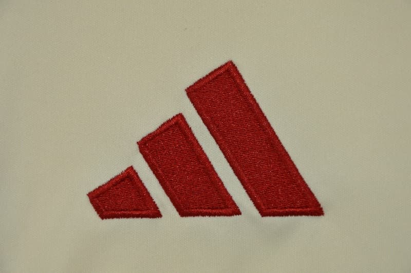 AAA Quality Liverpool 25/26 Training Soccer Jersey 07