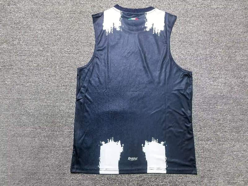 AAA Quality Monterrey 25/26 Training Vest Soccer Jersey