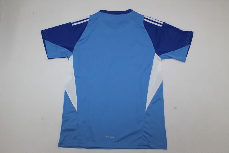 AAA Quality Newcastle United 25/26 Goalkeeper Blue Soccer Jersey