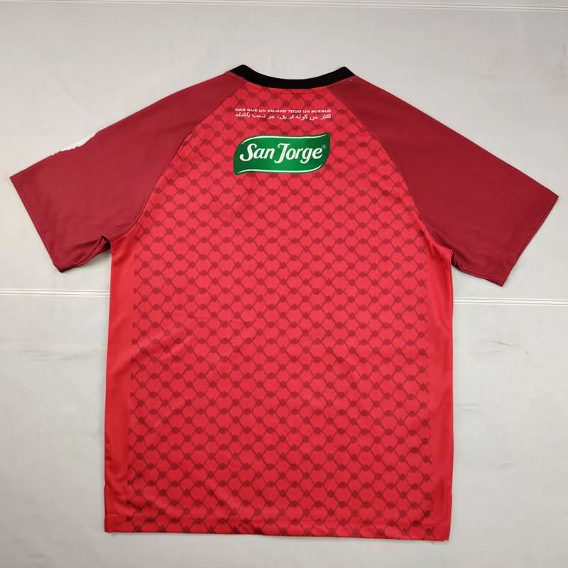 AAA Quality Palestino 2025 Special Soccer Jersey 06