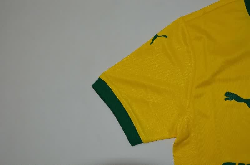 AAA Quality Palmeiras 25/26 Third Soccer Jersey (Player)