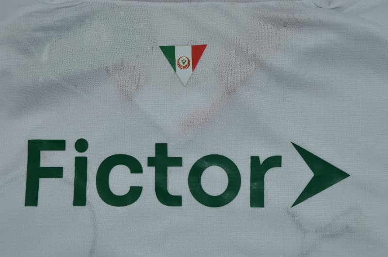 AAA Quality Palmeiras 2026 Away Soccer Jersey