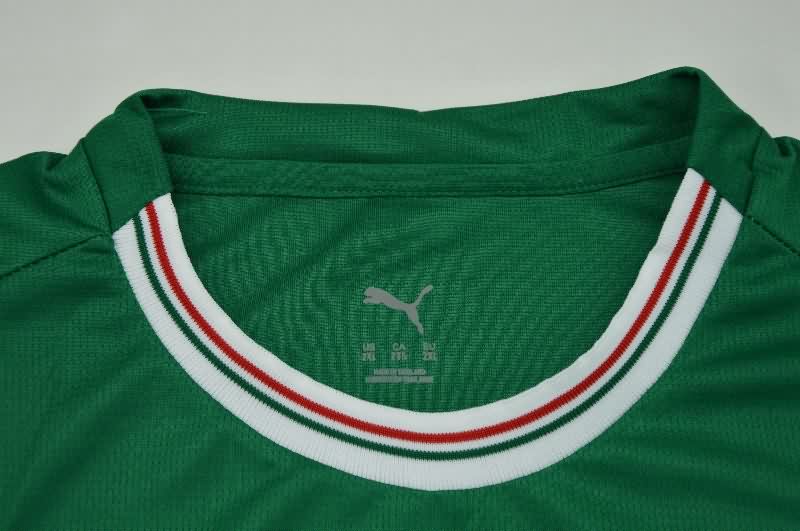 AAA Quality Palmeiras 2026 Home Soccer Jersey