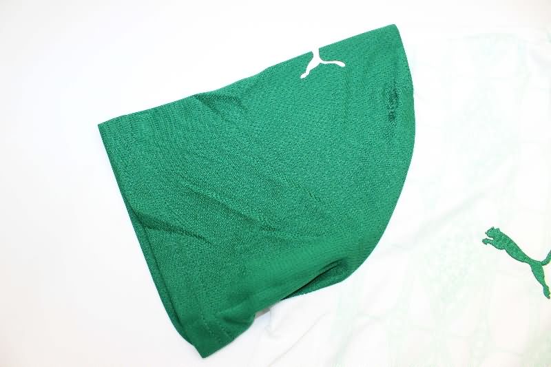 Palmeiras Soccer Jersey Away Replica 2025