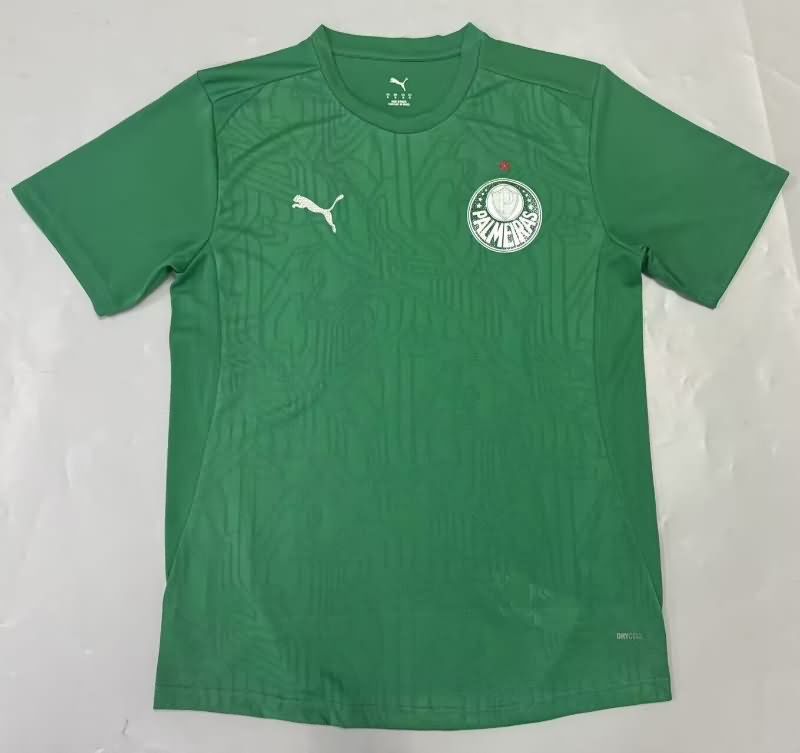 AAA Quality Palmeiras 2025 Goalkeeper Green Soccer Jersey