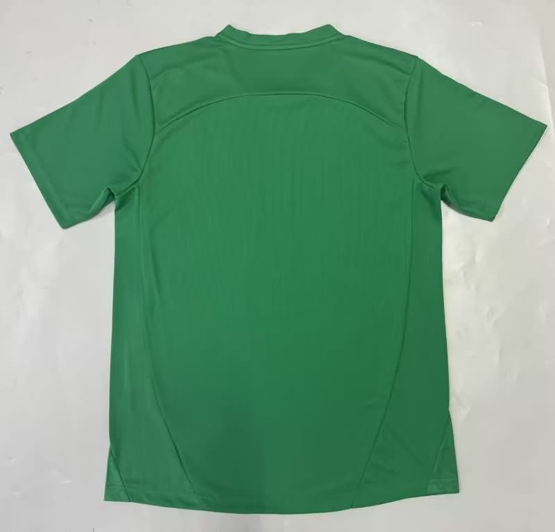 AAA Quality Palmeiras 2025 Goalkeeper Green Soccer Jersey