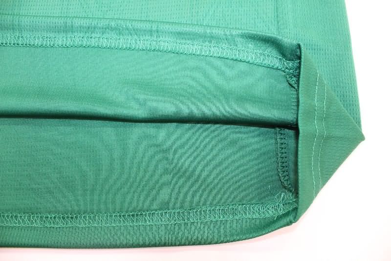 Palmeiras Soccer Jersey Home Replica 2025