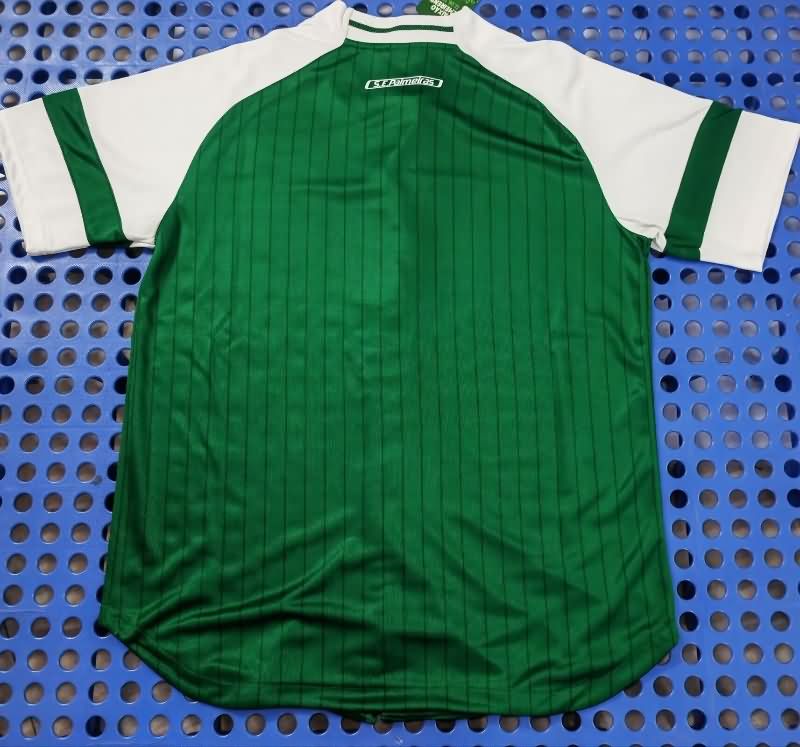 AAA Quality Palmeiras 2025 Green Baseball Jersey