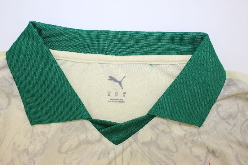 AAA Quality Palmeiras 2025 Third Soccer Jersey