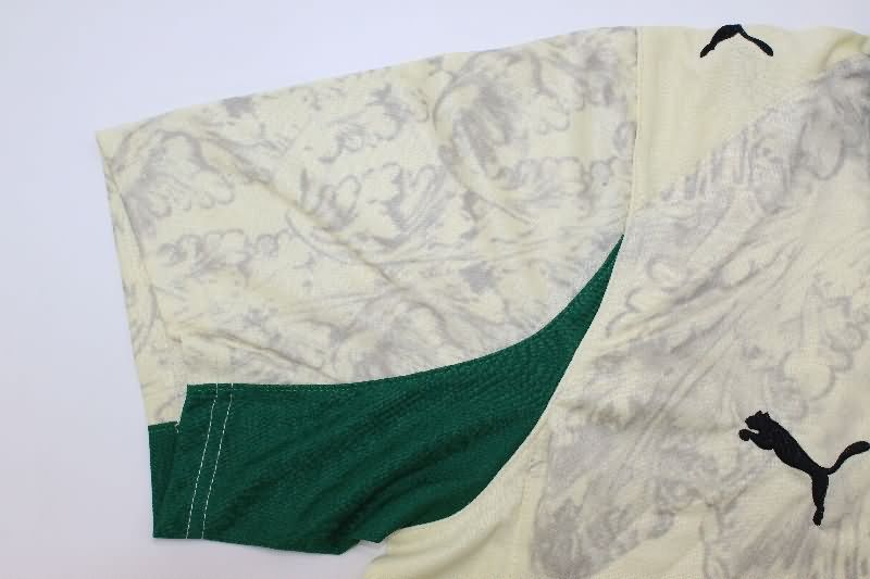 AAA Quality Palmeiras 2025 Third Soccer Jersey