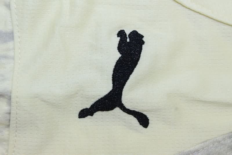 AAA Quality Palmeiras 2025 Third Soccer Jersey