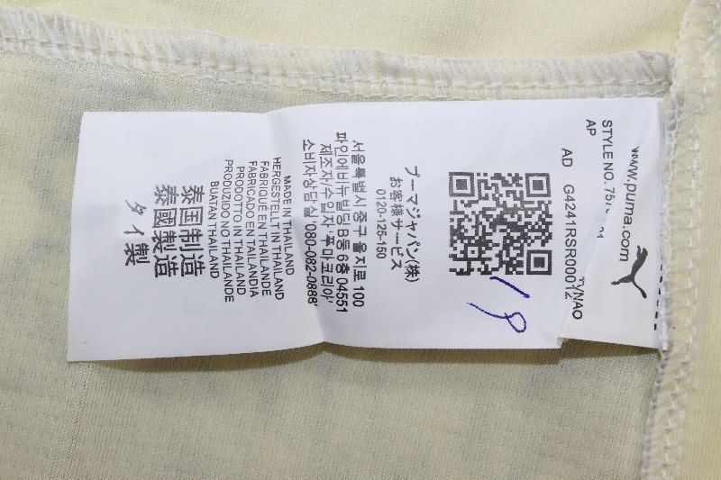 AAA Quality Palmeiras 2025 Third Soccer Jersey