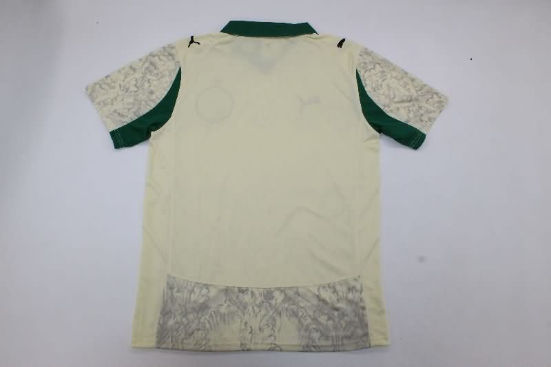 AAA Quality Palmeiras 2025 Third Soccer Jersey