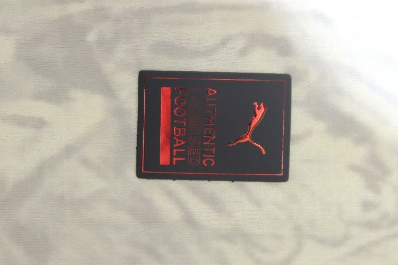 AAA Quality Palmeiras 2025 Third Soccer Jersey (Player)