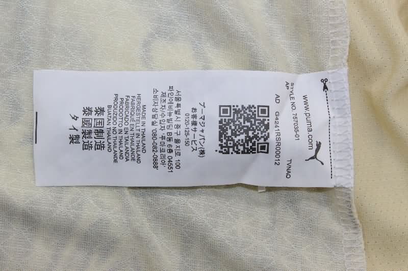 AAA Quality Palmeiras 2025 Third Soccer Jersey (Player)