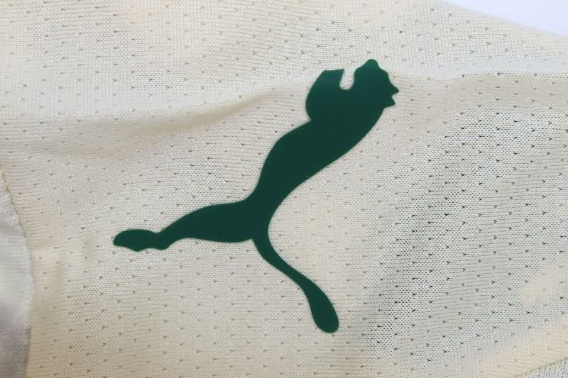 AAA Quality Palmeiras 2025 Third Soccer Jersey (Player)