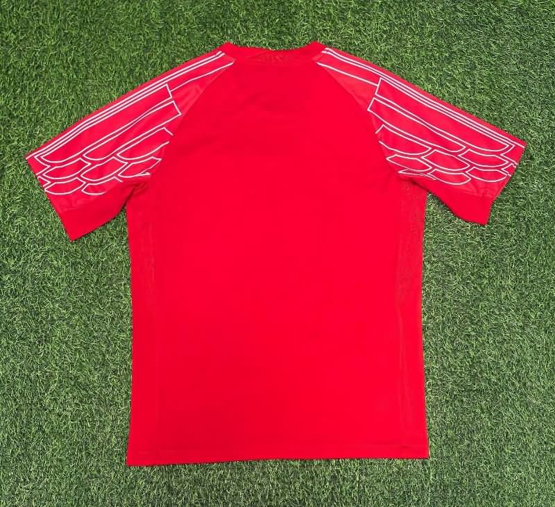 Paris St Germain Soccer Jersey Red Replica 25/26