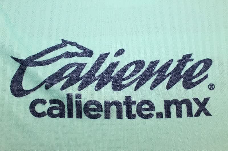 AAA Quality Pumas UNAM 25/26 Goalkeeper Green Soccer Jersey (Player)