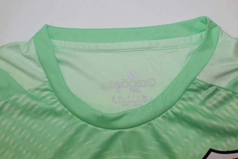 AAA Quality River Plate 2025 Goalkeeper Green Soccer Jersey