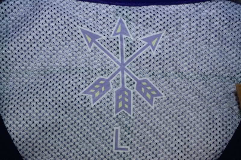 AAA Quality Sanfrecce Hiroshima 2025 Home Soccer Jersey