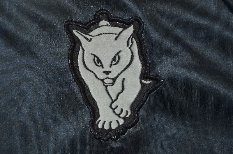 AAA Quality Sunderland 25/26 Third Soccer Jersey